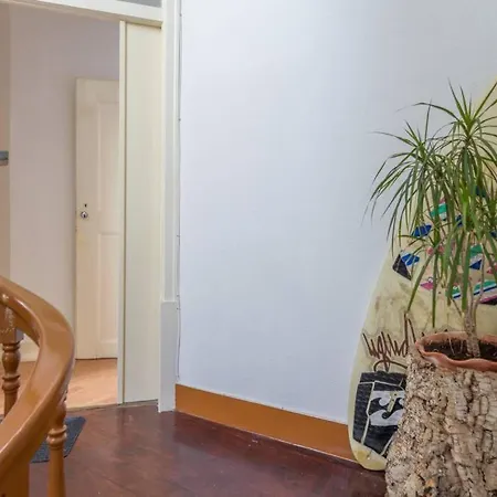 Apartment Cozy At The Center *